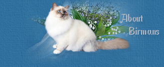 About Birmans
