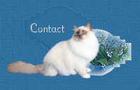 Contact