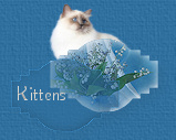 Kittens