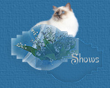 Shows