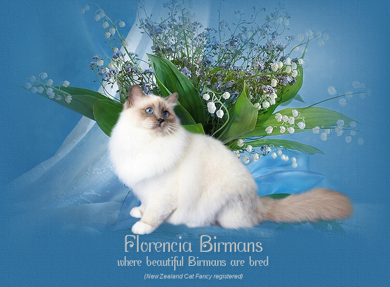  Florencia Birmans